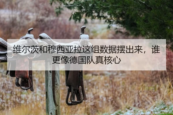 wei-er-ci-he-mu-xi-ya-la-zhe-zu-shu-ju-bai-chu-lai-shui-geng-xiang-de-guo-dui-zhen-he-xin-2-466.jpg