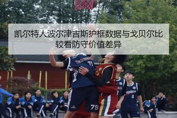 凯尔特人波尔津吉斯护框数据与戈贝尔比较看防守价值差异