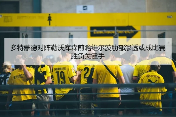 多特蒙德对阵勒沃库森前瞻维尔茨肋部渗透或成比赛胜负关键手